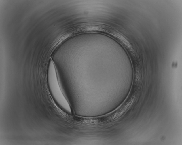 X0000097760793200803281632