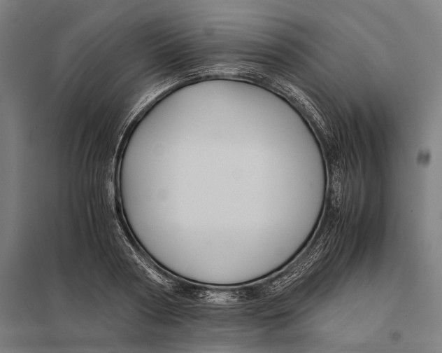 X0000097760794200803281632