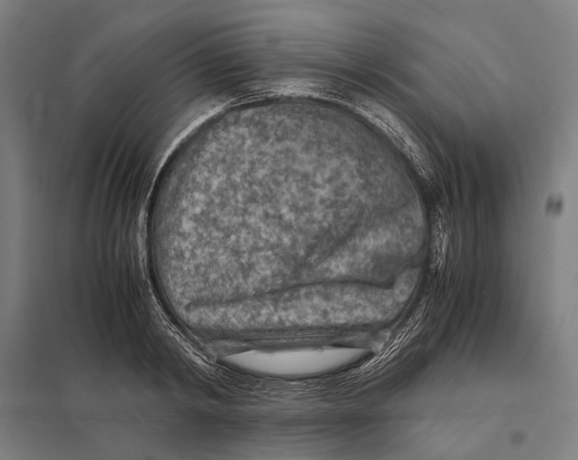 X0000097760798200803281632