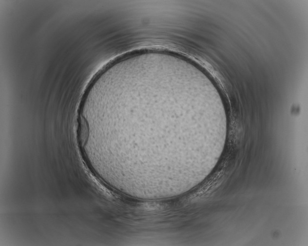 X0000097760799200803281632