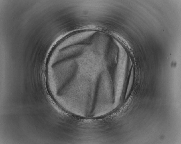 X0000097760800200803281632