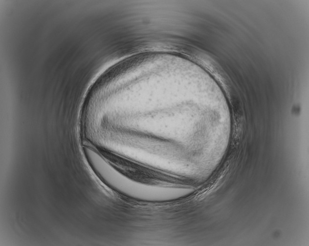 X0000097760803200803281632