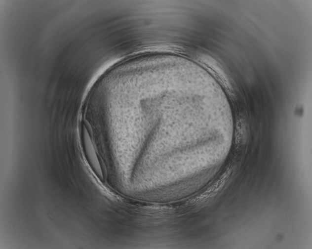 X0000097760804200803281632