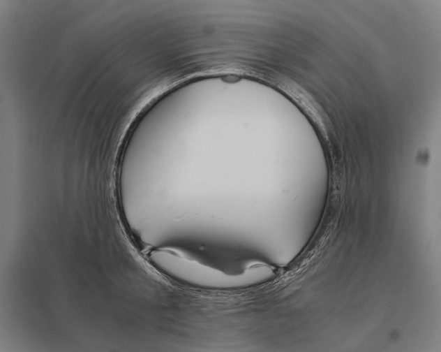 X0000097760805200803281632