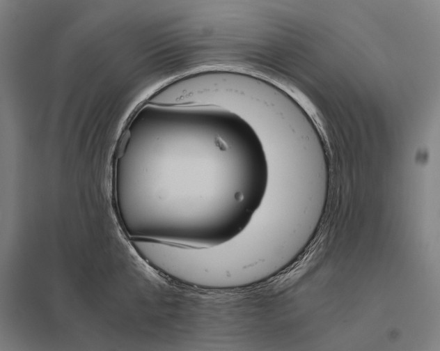 X0000097760807200803281632