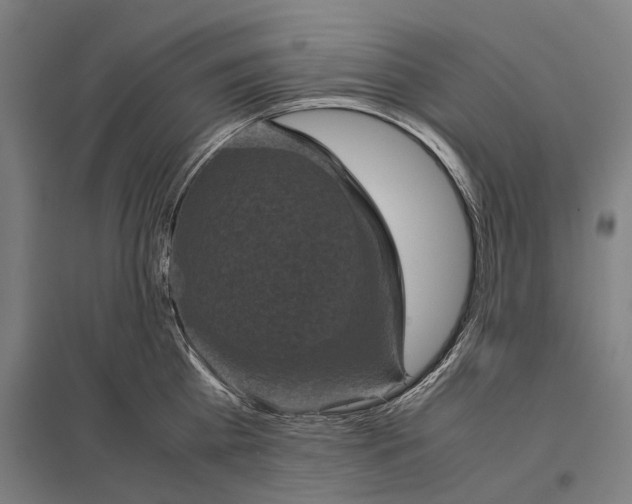 X0000097760809200803281632