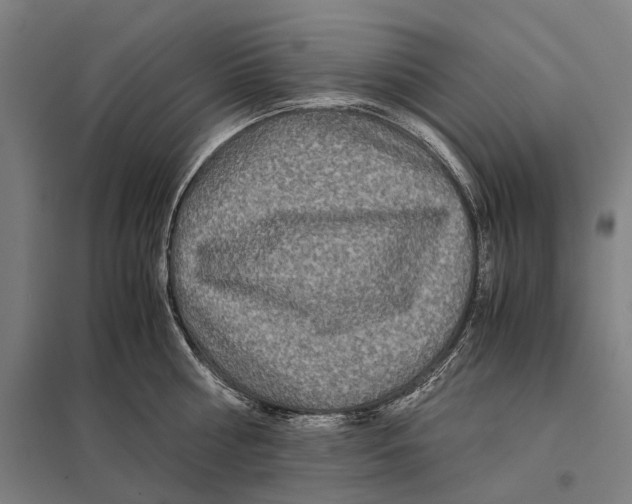 X0000097760810200803281632