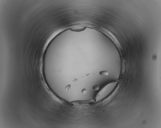 X0000097760812200803281632