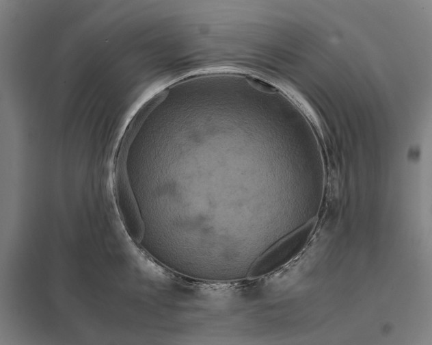 X0000097760813200803281632