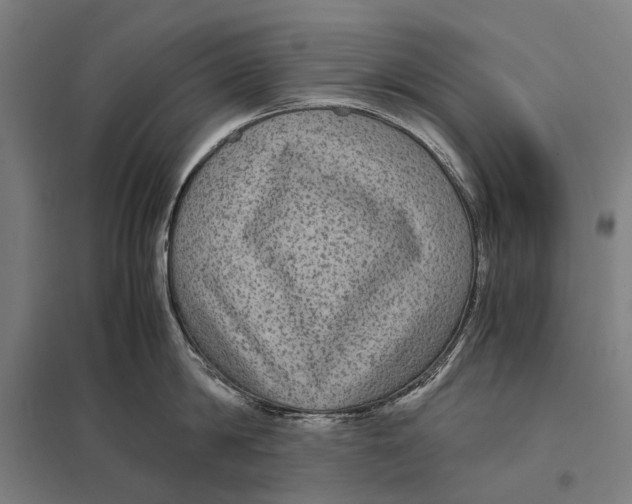 X0000097760814200803281632