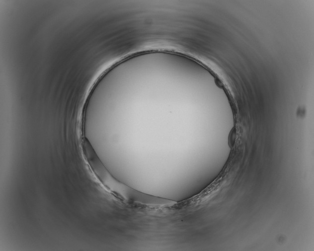 X0000097760815200803281632