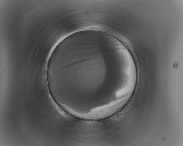 X0000097760816200803281632