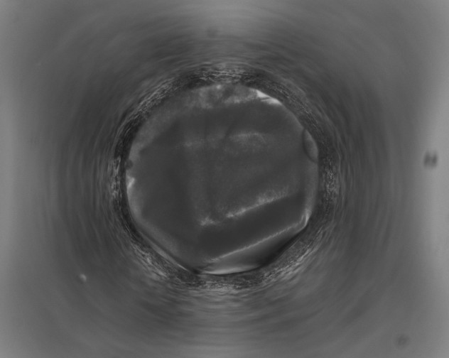 X0000097760818200803281631