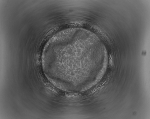 X0000097760819200803281631