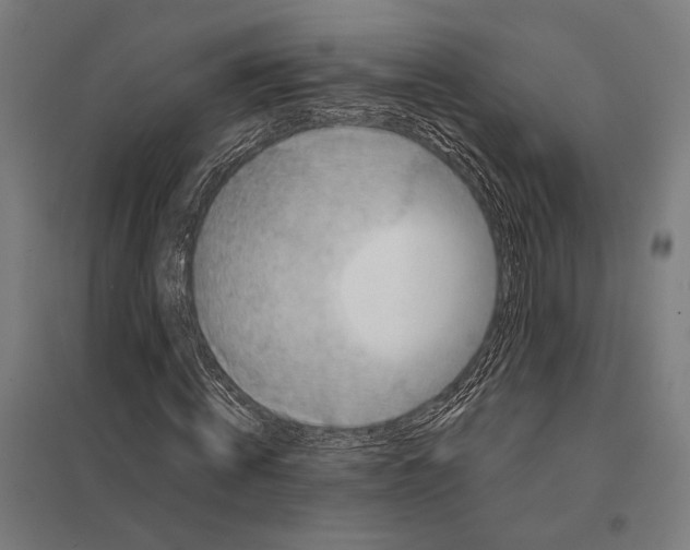 X0000097760820200803281631