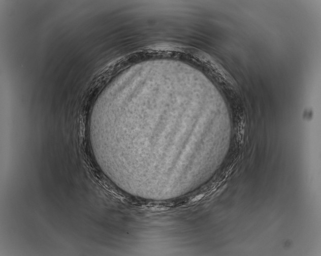 X0000097760821200803281631