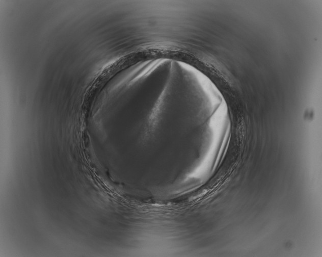 X0000097760822200803281631