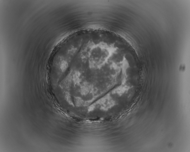 X0000097760823200803281631