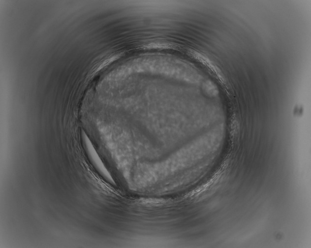 X0000097760825200803281631