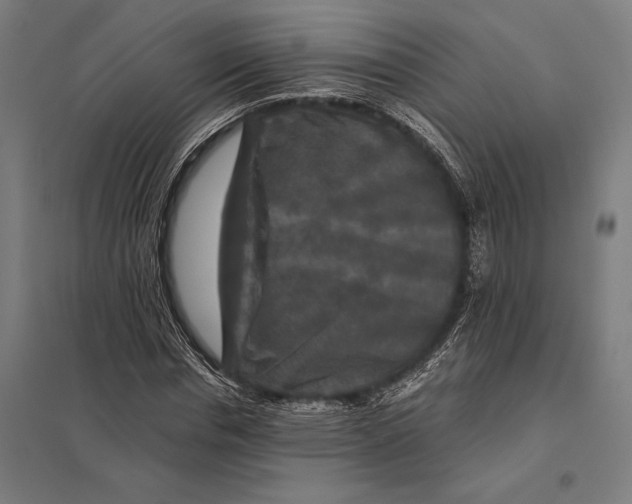 X0000097760826200803281631