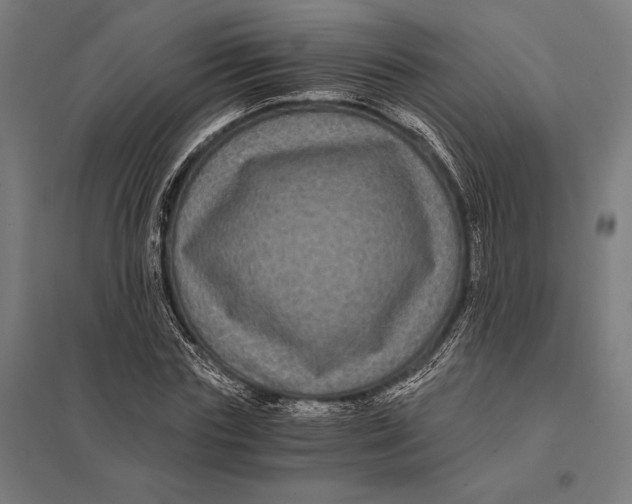 X0000097760827200803281631