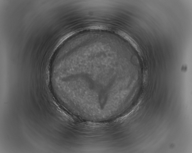 X0000097760829200803281631