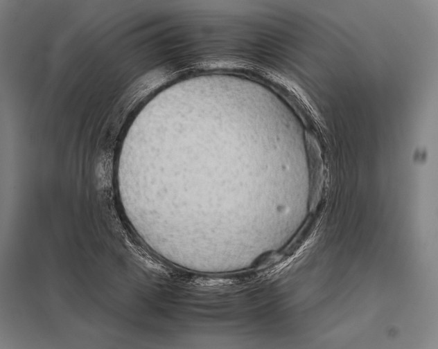 X0000097760833200803281631