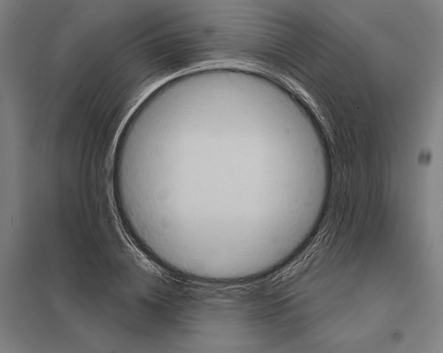 X0000097760836200803281631