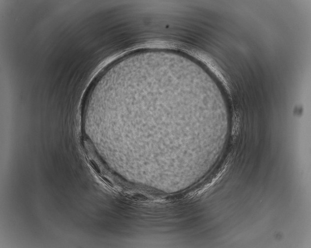 X0000097760837200803281631