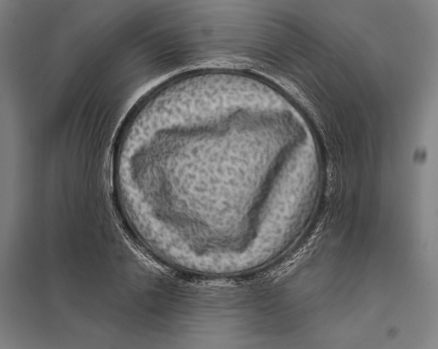 X0000097760838200803281631