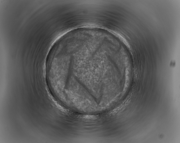 X0000097760839200803281631