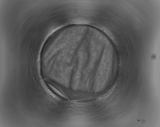 X0000097760840200803281631