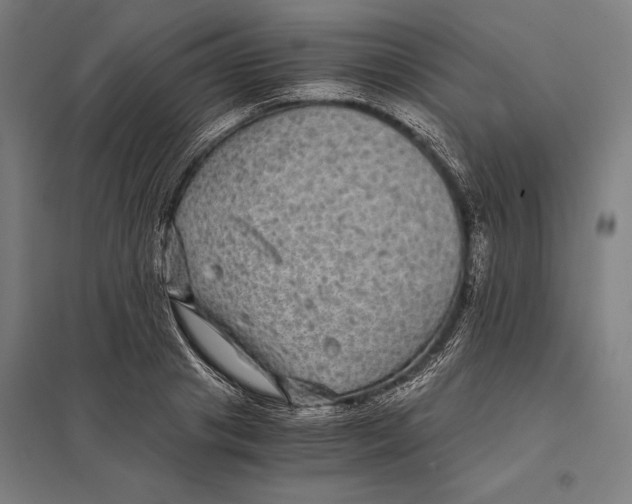 X0000097760841200803281631