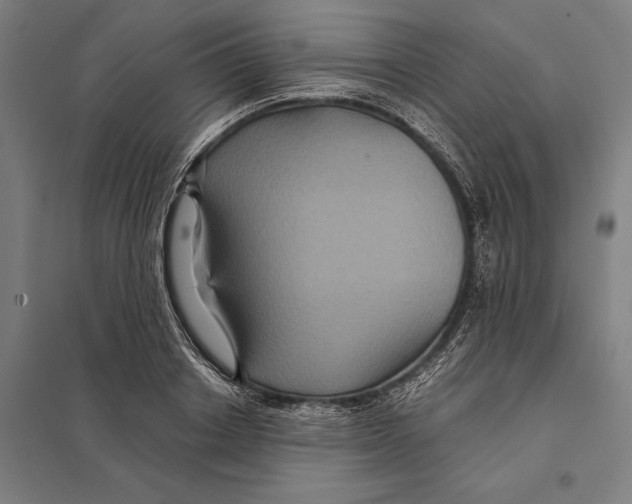 X0000097760842200803281631