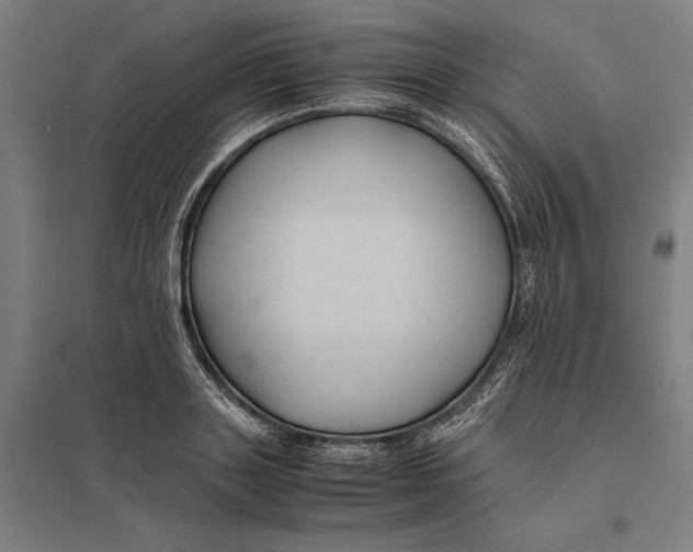 X0000097760843200803281631