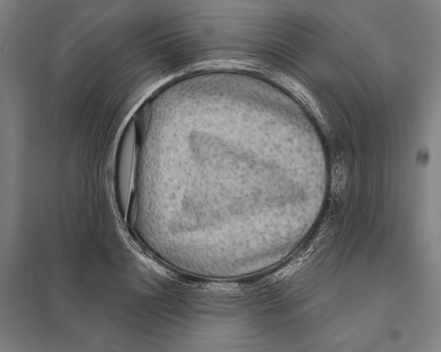 X0000097760844200803281631