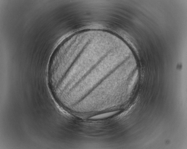 X0000097760845200803281632