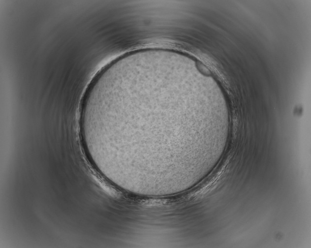 X0000097760846200803281632