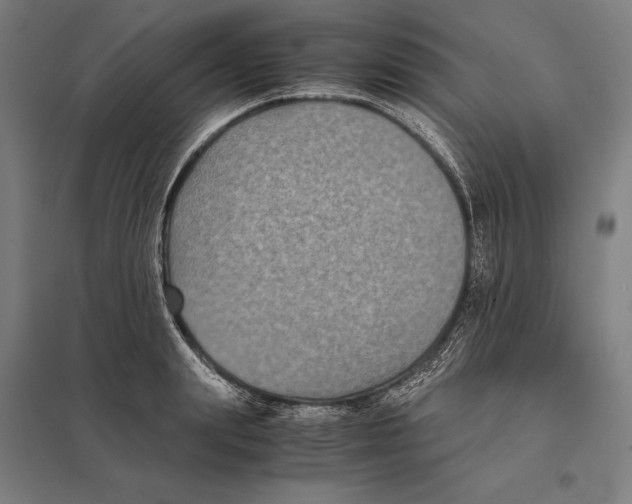 X0000097760847200803281632