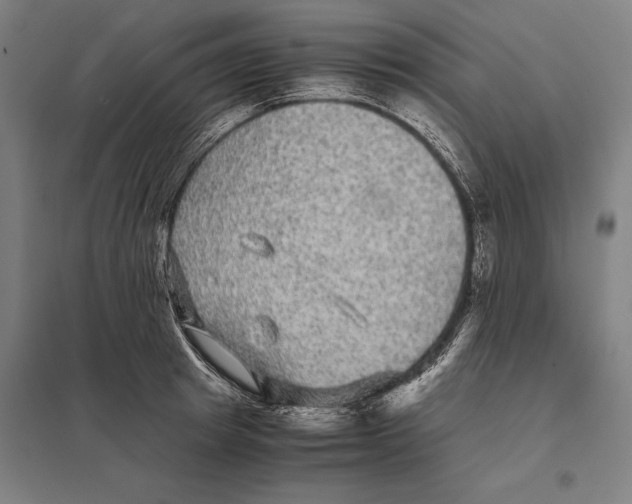 X0000097760849200803281632