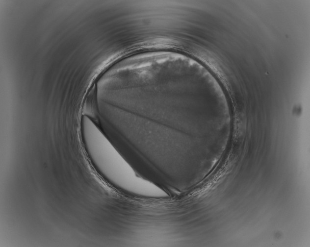 X0000097760850200803281632