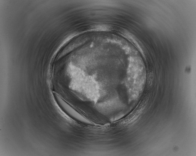 X0000097760851200803281632