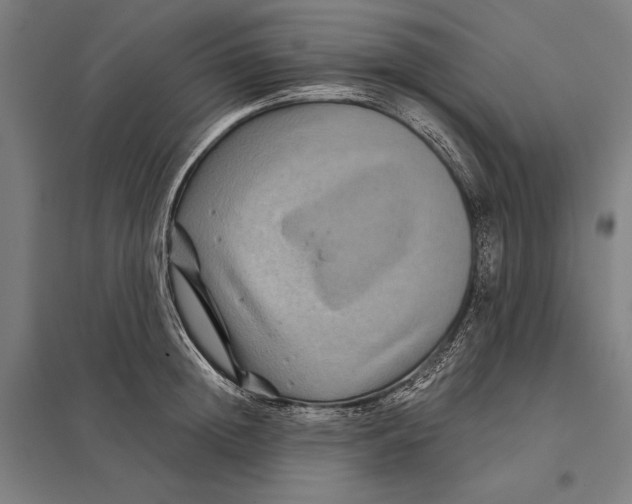 X0000097760852200803281632