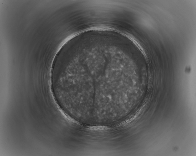 X0000097760853200803281632