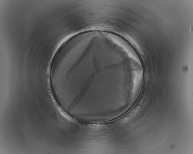 X0000097760854200803281632