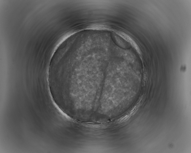 X0000097760855200803281632