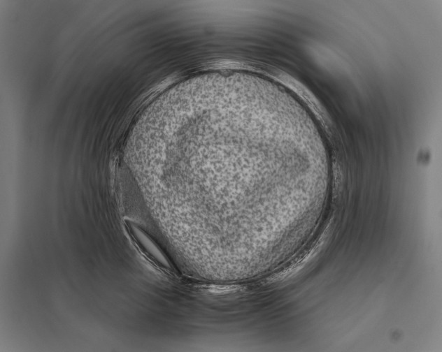 X0000097760857200803281632