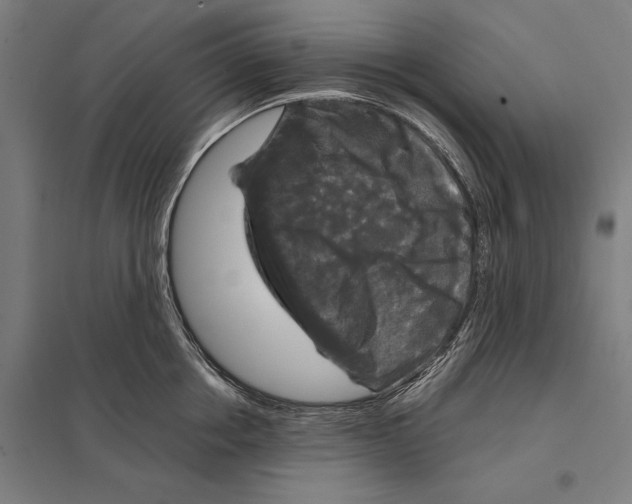 X0000097760858200803281632