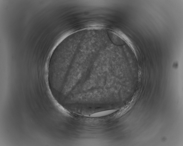 X0000097760859200803281632