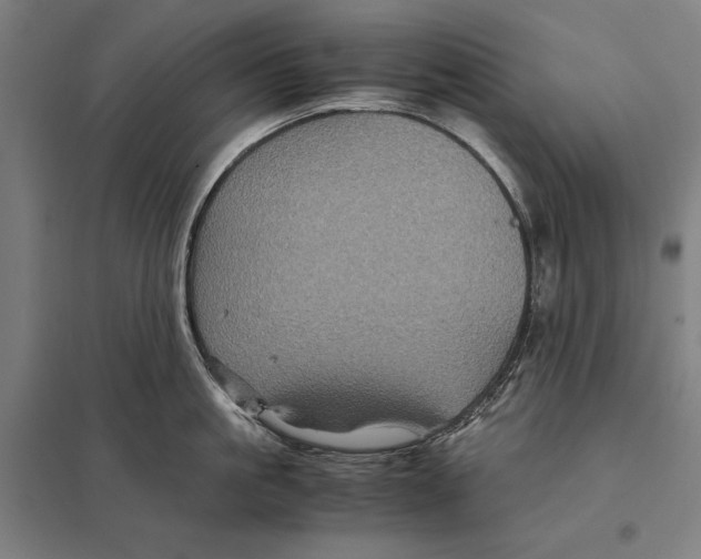 X0000097760861200803281632